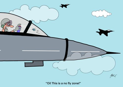 “Oi! This is a no fly zone!”