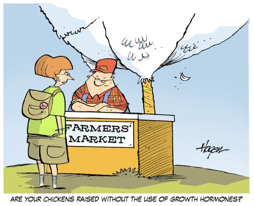 "Are your chickens raised without the use of growth hormones?"