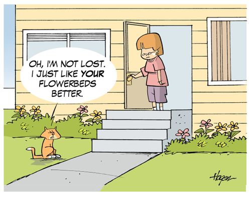 "Oh, I'm not lost. I just like your flowerbeds better."