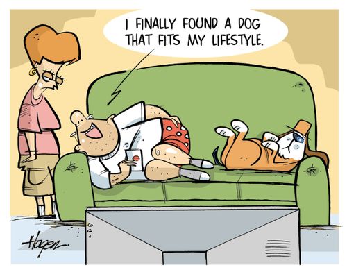 "I finally found a dog that fits my lifestyle."