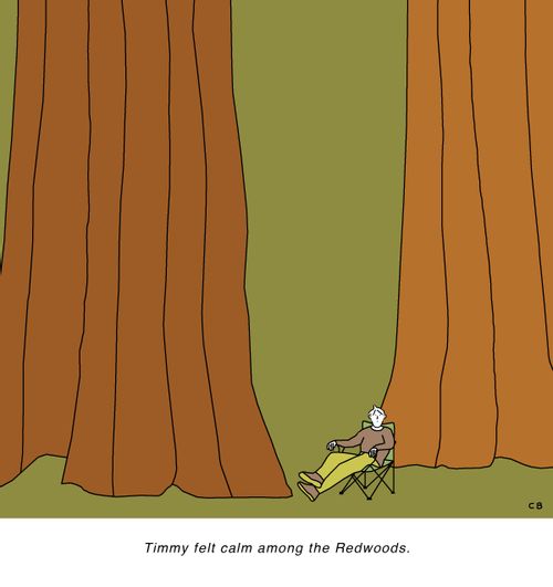 Timmy felt calm among the Redwoods.