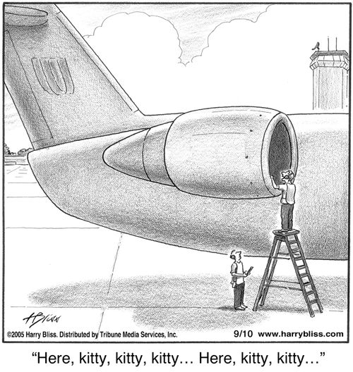 "Here, kitty, kitty, kitty… Here, kitty, kitty, kitty…"