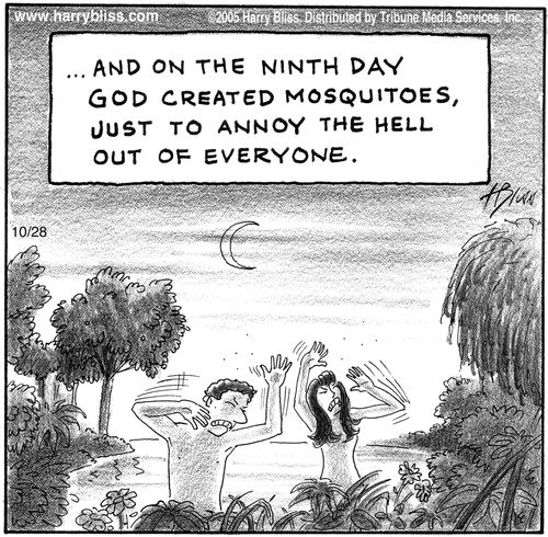 “...And on the ninth day God created mosquitoes, just to annoy the hell out of everyone.”