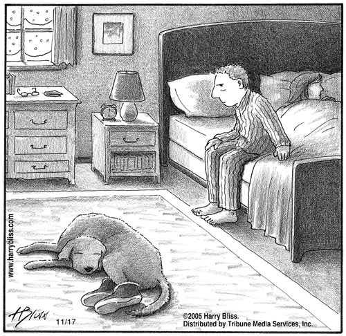 "I'm telling you, I don't know how that slipper got in my mouth last night."