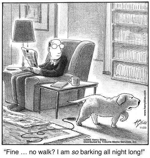 "Fine ... no walk? I am so barking all night long!"
