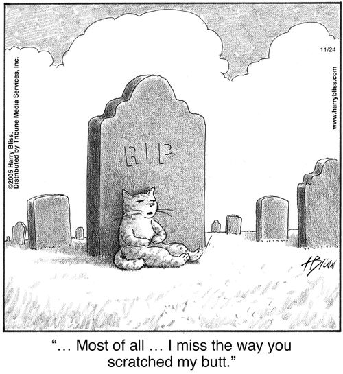 "… Most of all … I miss the way you scratched my butt."