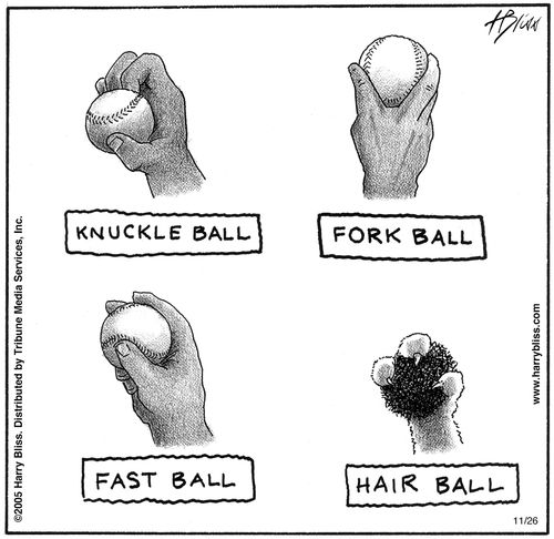 "Knuckle ball. Fork ball. Fast ball. Hair ball."