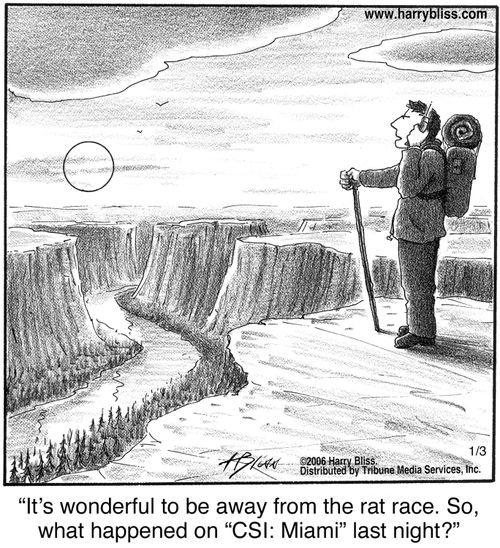 "It's wonderful to be away from the rat race. So, what happened on 'CSI: Miami' last night?"