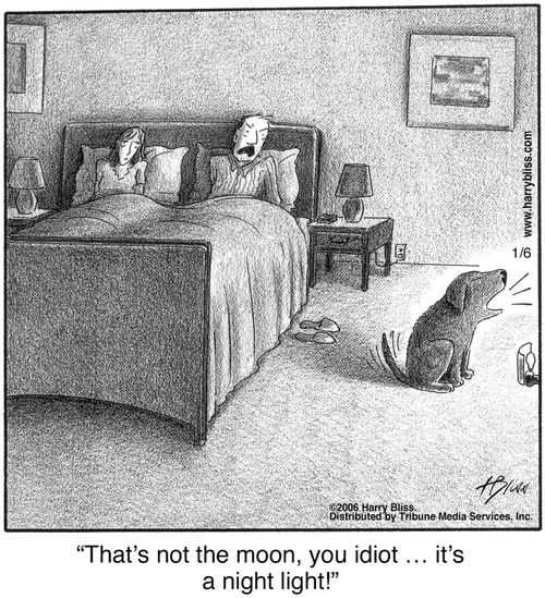 "That's not the moon, you idiot ... it's a night light!"