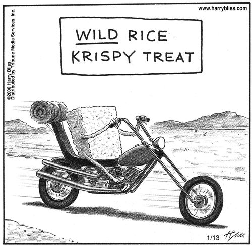 "Wild rice Krispy treat."