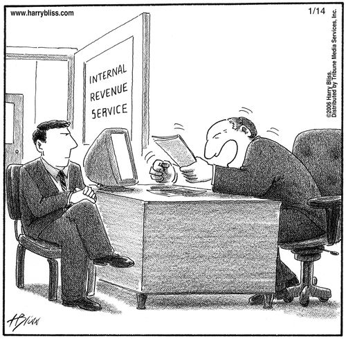 "Instead of auditing you, I'd like to buy your tax secrets."