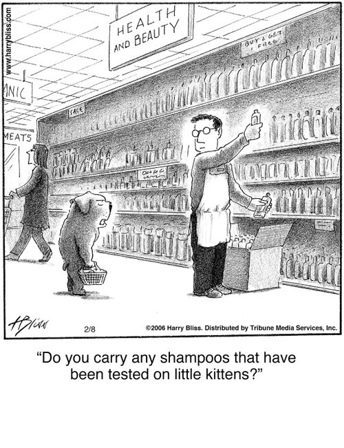 "Do you carry any shampoos that have been tested on little kittens?"