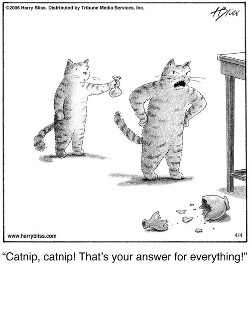 "Catnip, catnip! That's your answer for everything!"