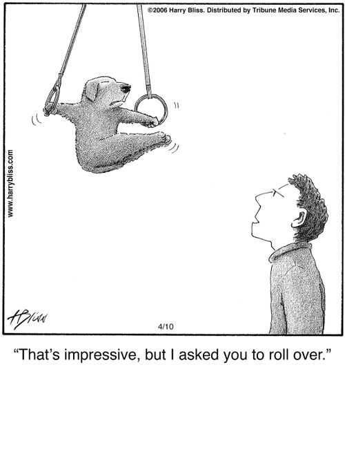"That's impressive, but I asked you to roll over."