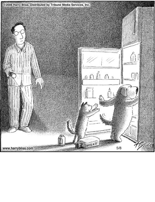 "Well, if you were snoring at 3 a.m., I’d probably be in the refrigerator with the cat, too."