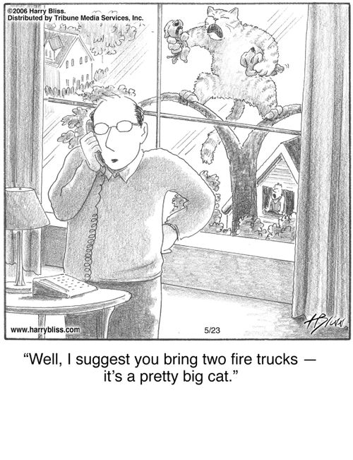 "Well, I suggest you bring two fire trucks—it's a pretty big cat."