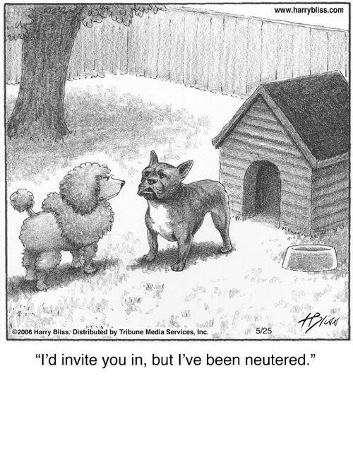 "I’d invite you in, but I’ve been neutered."