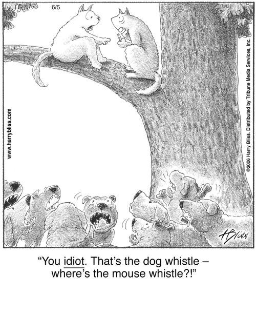 "You idiot. That’s the dog whistle — where’s the mouse whistle?!"