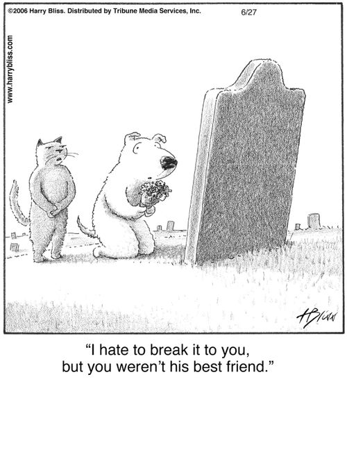 "I hate to break it to you, but you weren't his best friend."