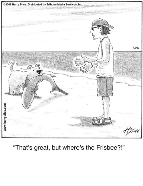 "That’s great, but where’s the Frisbee?!"