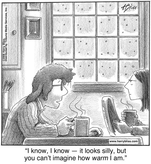 "I know, I know — it looks silly, but you can’t imagine how warm I am."