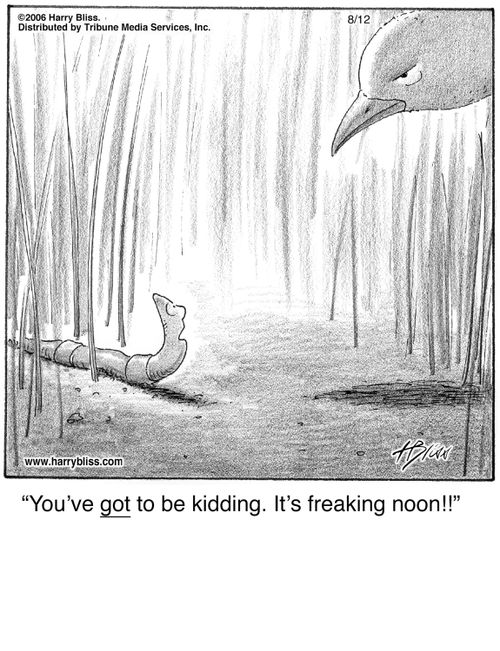 "You've got to be kidding. It's freaking noon!!"