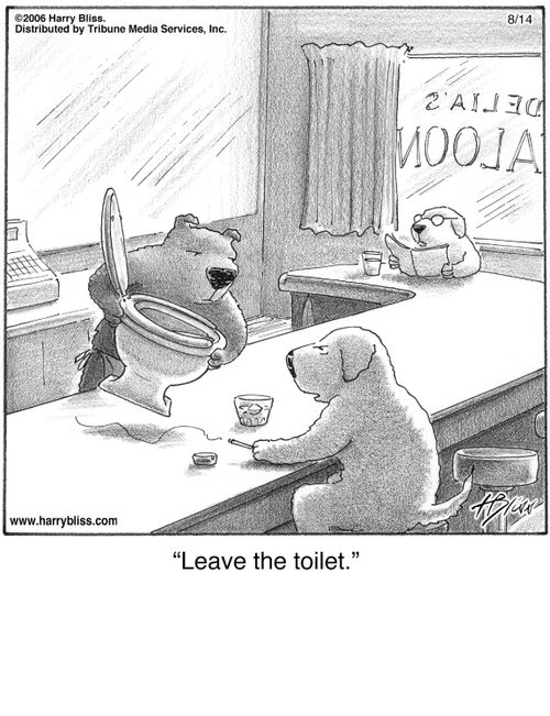"Leave the toilet."