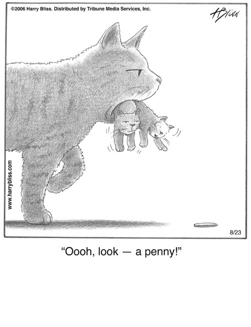 "Oooh, look — a penny!"