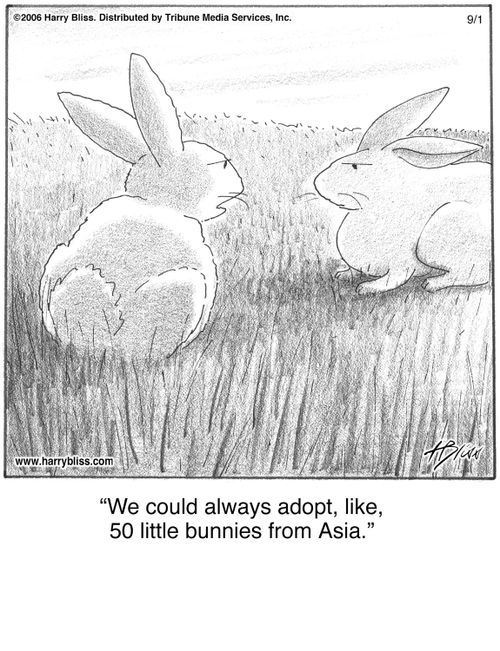 "We could always adopt, like, 50 little bunnies from Asia."