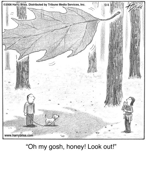 "Oh my gosh, honey! Look out!"