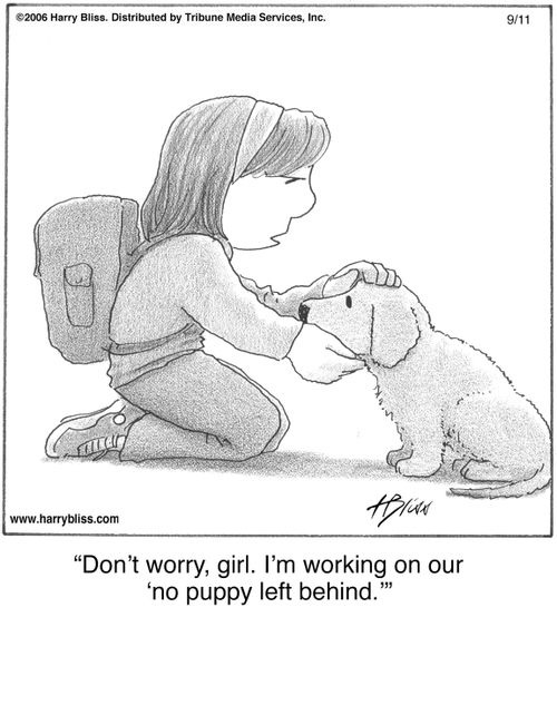 "Don’t worry, girl. I’m working on our ‘no puppy left behind.’"