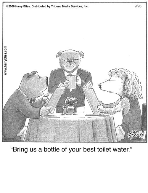 "Bring us a bottle of your best toilet water."