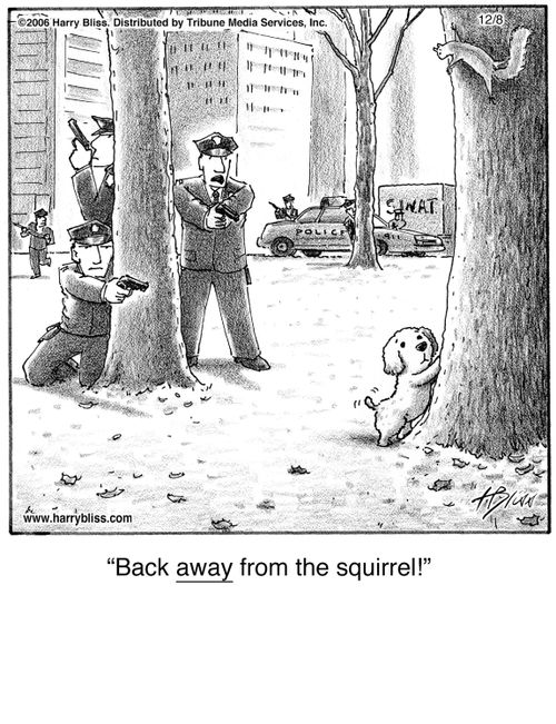 "Back away from the squirrel!"