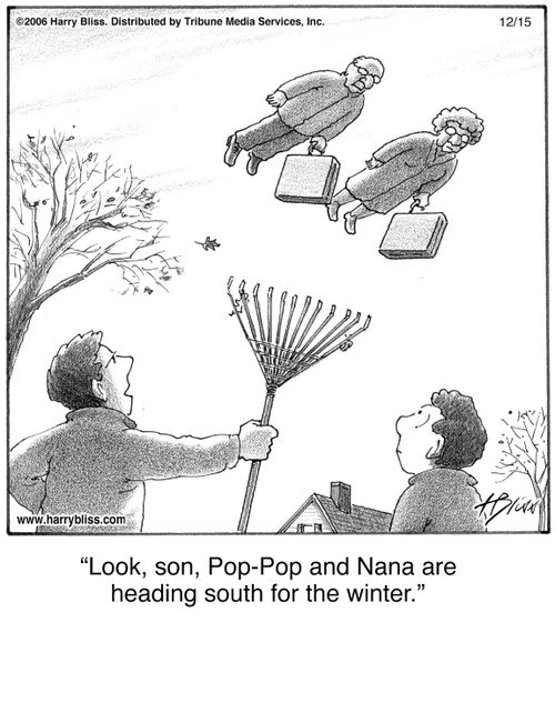 "Look, son, Pop-Pop and Nana are heading south for the winter."