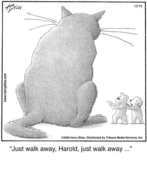 "Just walk away, Harold, just walk away ..."