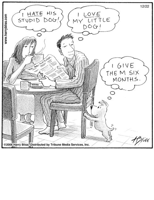 "I hate his stupid dog!" "I love my little dog!" "I give them six months."