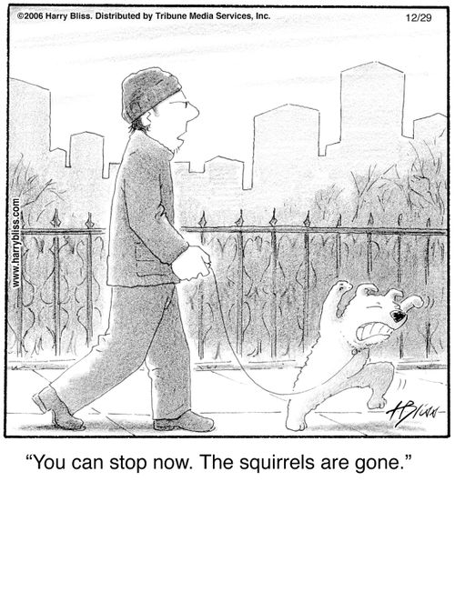 "You can stop now. The squirrels are gone."