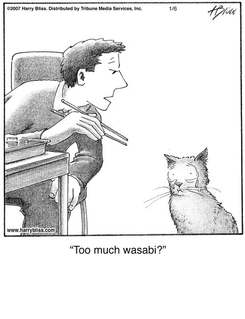 "Too much wasabi?"
