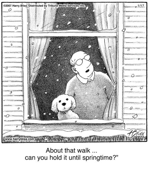 "About that walk ... can you hold it until springtime?"