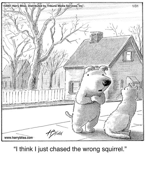 "I think I just chased the wrong squirrel."