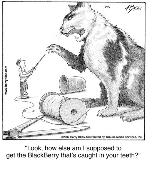 "Look, how else am I supposed to get the BlackBerry that’s caught in your teeth?"