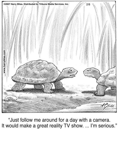 "Just follow me around for a day with a camera. It would make a great reality TV show. ... I'm serious."
