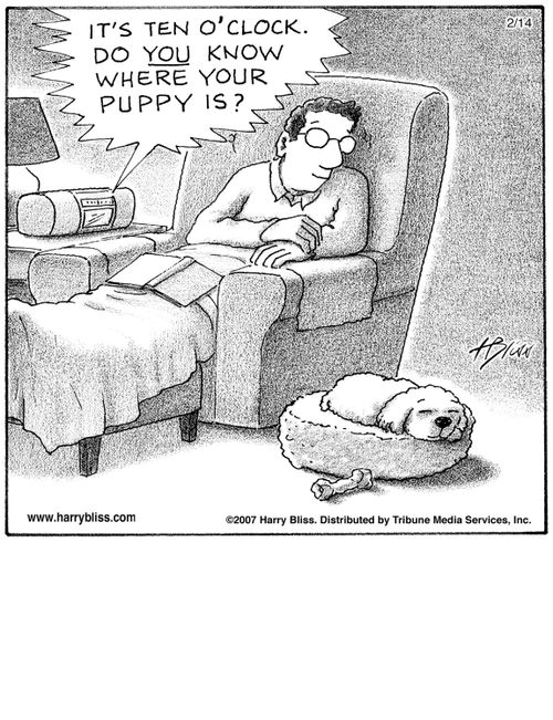 "It's ten o'clock. Do you know where your puppy is?"