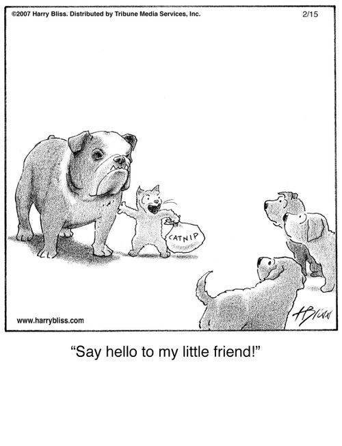 "Say hello to my little friend!"