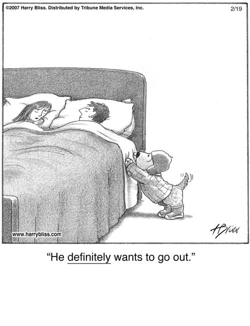 "He definitely wants to go out."