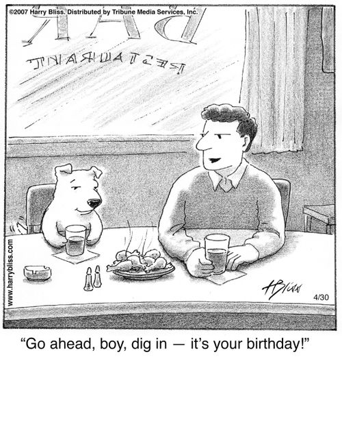 "Go ahead, boy, dig in — it's your birthday!"