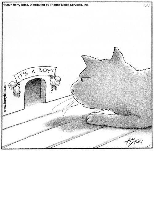 "It's a boy!"