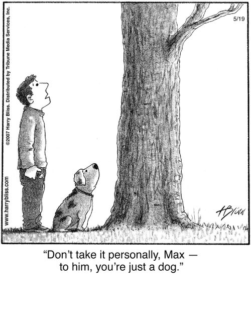 "Don't take it personally, Max — to him, you're just a dog."