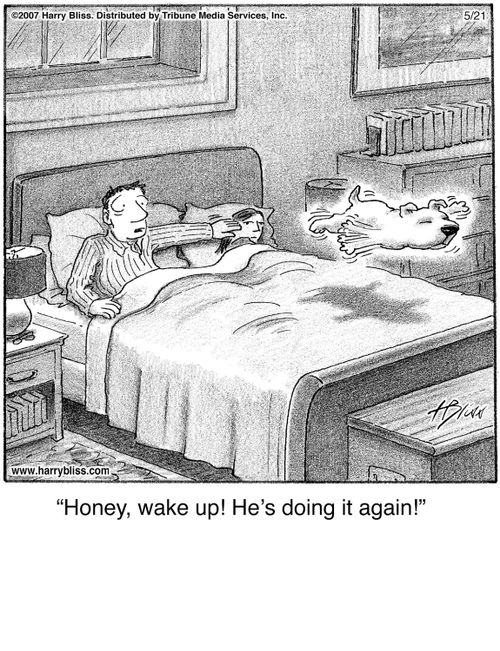 "Honey, wake up! He's doing it again!"