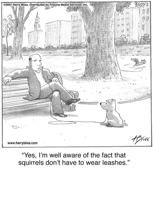 "Yes, I’m well aware of the fact that squirrels don’t have to wear leashes."